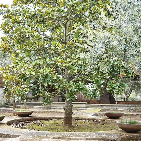 Borgo Lucia Selva Di Fasano