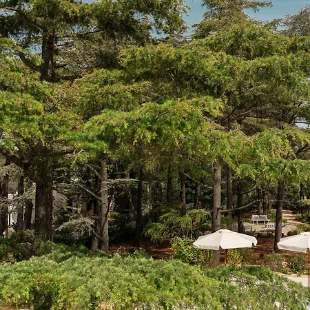 Borgo Lucia Holiday home Selva Di Fasano