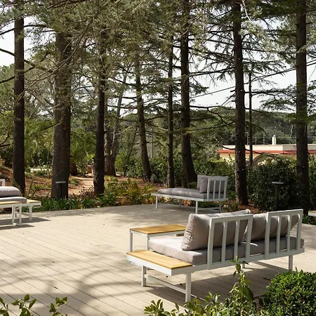Borgo Lucia Holiday home Selva Di Fasano